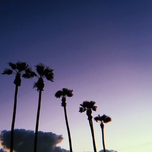 Meet your Posher, Cameron